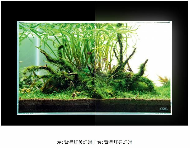 レイアウト用品 ADA LIGHT SCREEN 60 ADA LIGHT SCREEN – Aqua Forest Aquarium
