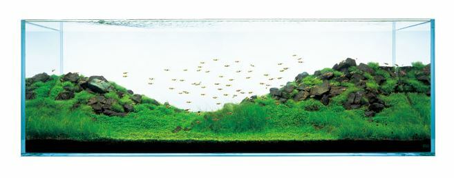 水族范店| 水族范店-日本精品ADA 造景石山谷石